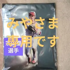 みやさま専用商品になります