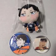 ハイキュー　影山飛雄　缶バッジ　ちょぴぬい