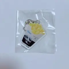 新品非売品 東武鉄道 特急スペーシアX ミニストップコラボ アクリルキーホルダー