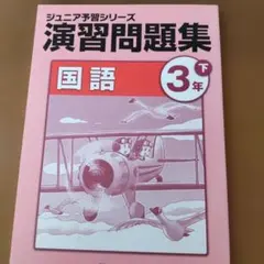 2026年最新】ジュニア予習シリーズ 3年の人気アイテム - メルカリ