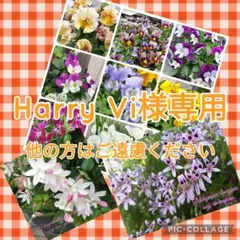 Harry Vi様 リクエスト 3点 まとめ商品