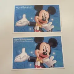 東京ディズニーリゾート　使用済みチケット　2枚セット