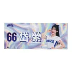 2026　WBC　66　岱縈　ダイイン　応援　タオル