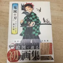 吾峠呼世晴画集 鬼滅の刃 幾星霜