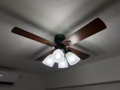 lowya シーリングファン　照明