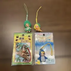 地域限定コスチュームキューピー オーストラリアケアンズ 信州 セット