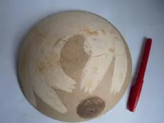 Item thumbnail for item fc6e19ec-6ae1-4478-801e-32d662ad5284