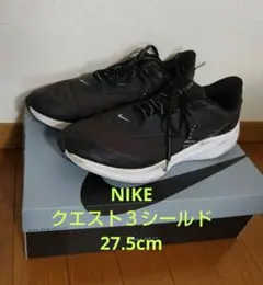 Item thumbnail for item 52bc2c4d-9814-4458-8d2f-ad4bbf89bf65