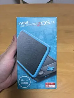 最終値下げ New Nintendo 2DS LL アダプター付き