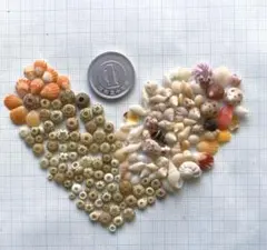 天然貝殻　素材　チビチビウニ　小さい貝殻　微小貝アソート