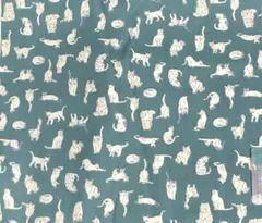 ビエラプリント　グリーンに白い猫