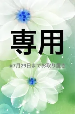 専用(じばにゃん様)※7月29日までお取り置き