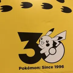 ポケモン30周年記念 おかえり!ピカチュウ1/1 専用BOX タカラトミー限定