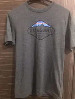 sサイズ　パタゴニア Tシャツ