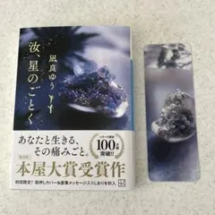 Item thumbnail for item 17239096-597a-453c-845b-2537a5f39596