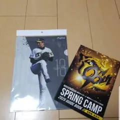阪神タイガース 岩崎優選手 クリアファイル2枚組