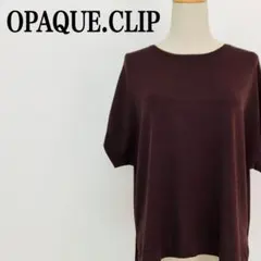 美品【オペークドットクリップ】 半袖ニット体型カバー ダークブラウン Sきれいめ