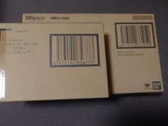 S.H.Figuarts 仮面ライダー第2＋1号 シンサイクロン号