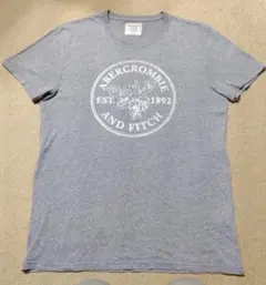 Abercrombie & Fitch グレー Tシャツ S