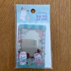 サンリオ　韓国　トップローダー　トレカフレーム　ポチャッコ