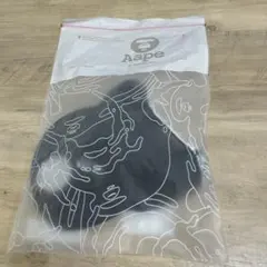 Item thumbnail for item 73485c85-0650-4b8c-a363-2835f0029bf5