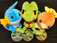 ポケドール　キモリ　アチャモ　ミズゴロウ 2026年最新】キモリドールの人気アイテム - メルカリ