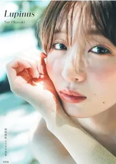 岡崎紗絵 タレント写真集
