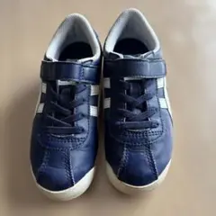 Item thumbnail for item 0bbe5abb-4618-428f-a18c-91f22d413f87