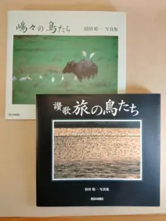 Item thumbnail for item 7d4c3d60-3fba-4dac-b4eb-267a87d5cdf0