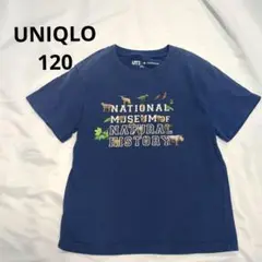 ユニクロ　スミソニアン　キッズ　120 Tシャツ　半袖　120 ネイビー