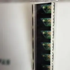 Item thumbnail for item 5e5e89e2-4a08-45eb-8ccc-47eab9baece6