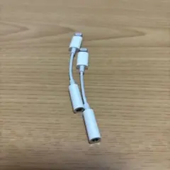 Lightningコネクタ 2個セット