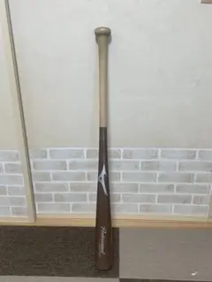 Item thumbnail for item 494ce877-3485-4509-b424-f464dd8f076a