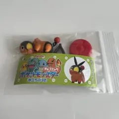 ポケットモンスター　チョコエッグ　旅立ちの3匹　ポカブ