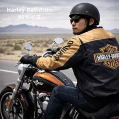 【激レア】ハーレーダビッドソン レーシングジャケット 完売モデル ナイロン 古着
