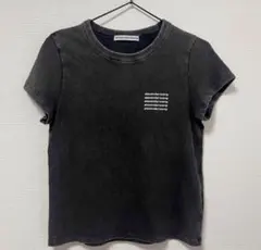 alexanderwang ロゴ Tシャツ ブラック アシッドウォッシュ加工のサムネイル