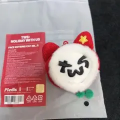 TWS♥️HOLIDAY WITH US PLUSH KEYRING CAT - メルカリ