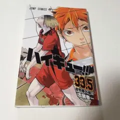 ハイキュー!! 33.5 ゴミ捨て場の決戦 映画特典