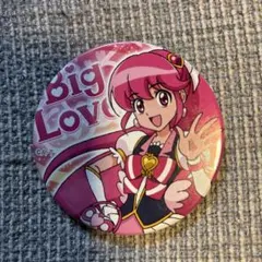 全プリキュア展 主人公 缶バッジ ハピネスチャージプリキュア キュア
