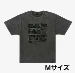 Stray Kids フォトTシャツ グレー Mサイズ