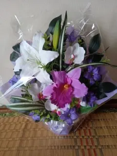 Item thumbnail for item d10cab6d-345f-450e-b0ca-5c2e2331635c