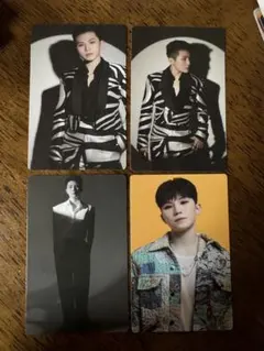 ウジ トレカ ruby