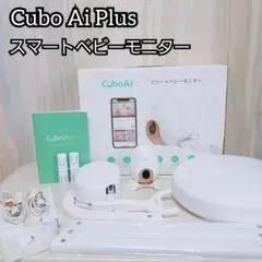 Item thumbnail for item fac65f73-70aa-44cf-a40d-992ab42efdfd