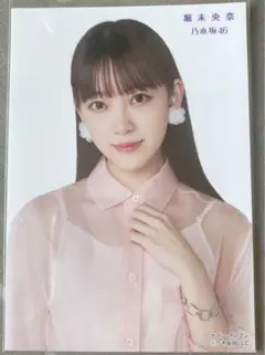 乃木坂46 堀未央奈　しあわせの保護色　生写真　セブンイレブン限定　AKB48