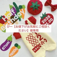 【3/10発送】ぴー【お値下げお気軽にご相談ください】様専用