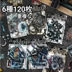 ありす様 リクエスト 2点 まとめ商品