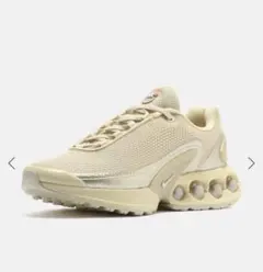 24cm_ NIKE AIR MAX DN ベージュ