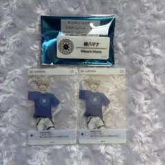 にじさんじフェス2025 緋八マナ