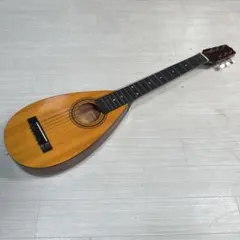 Reghin レジン トラベルギター ギター - メルカリ