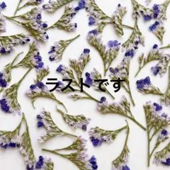 そみんs様 リクエスト 3点 まとめ商品